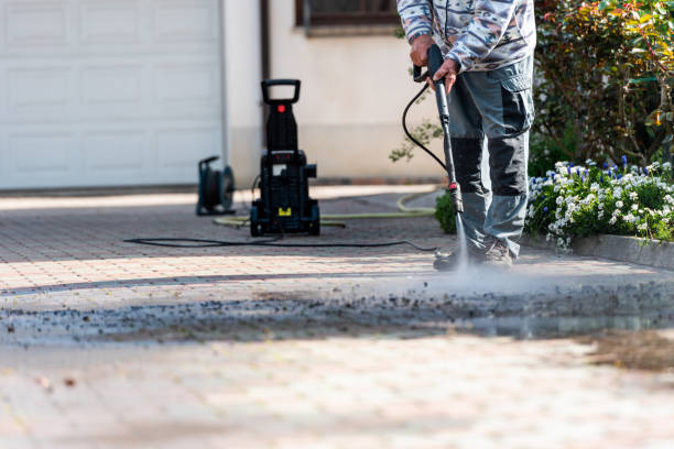 Best Fence Pressure Washing  in Pepeekeo, HI