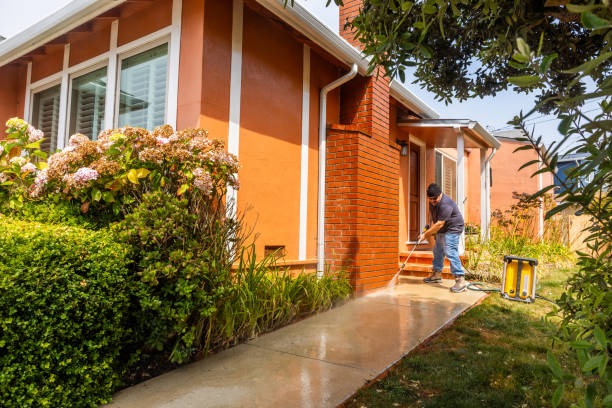 Local Pressure Washing Services in Pepeekeo, HI