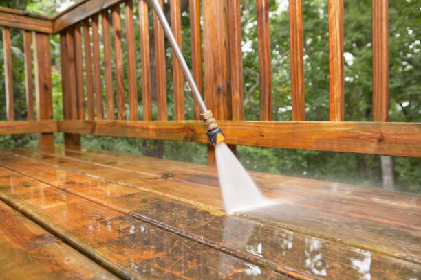 Best Residential Pressure Washing Services  in Pepeekeo, HI