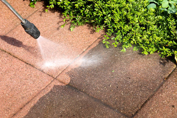 Best Pressure Washing Company Near Me  in Pepeekeo, HI